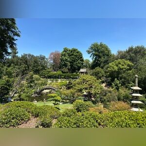 Meet your Posher, Lupe